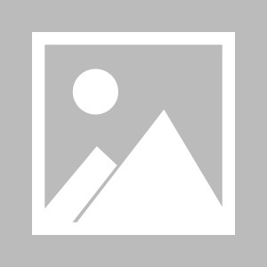 九州娱乐-关于女足比赛冠军队核心球员入选国家队，备战世界杯的信息