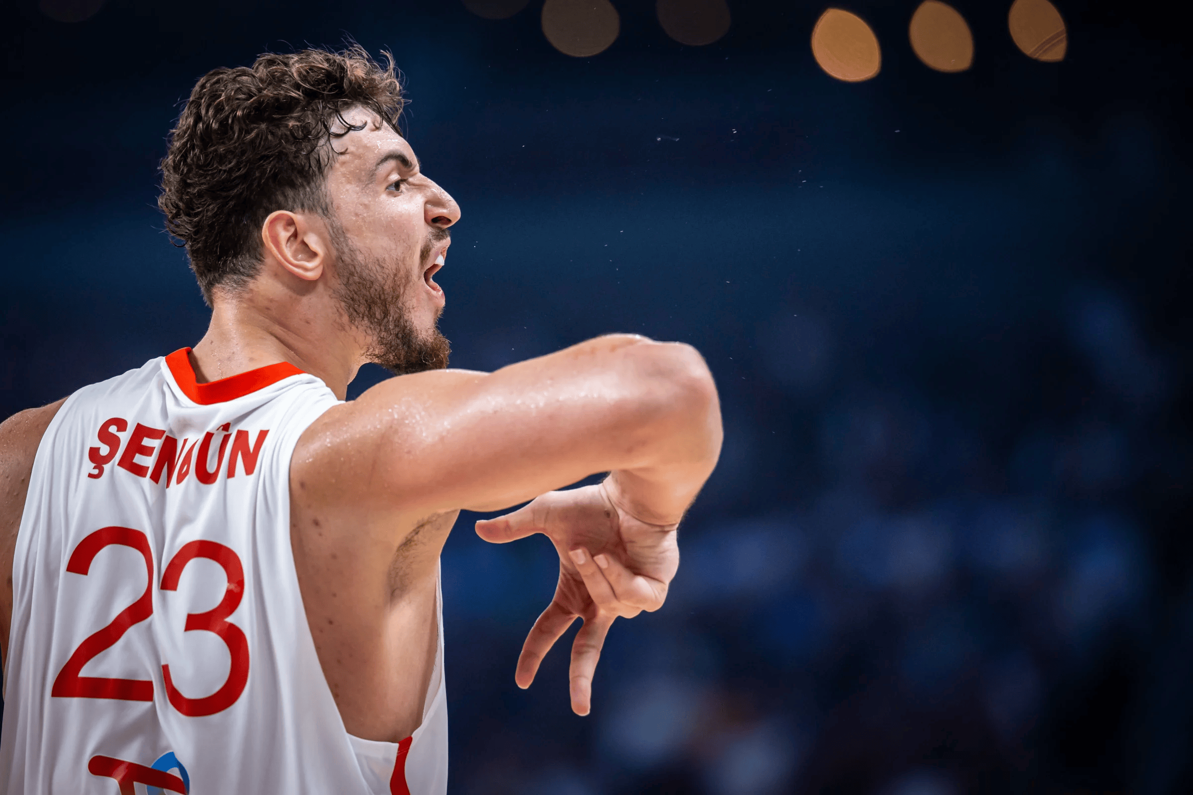 塞尔维亚豪取胜利,晋级欧洲杯四强的简单介绍 塞尔维亚豪取胜利,晋级欧洲杯四强的简单介绍